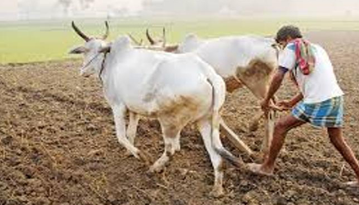 नुकसान भरपाई म्हणून शेतकऱ्याला मिळाला 1 रुपया !