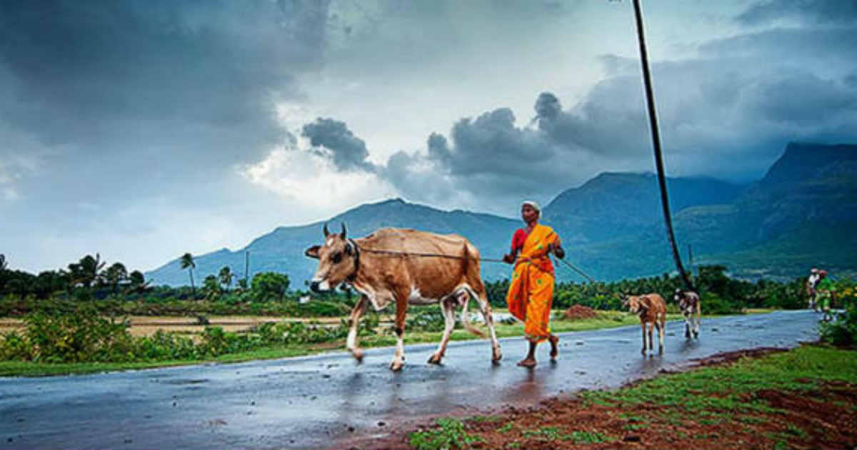 ब्रेकिंग न्यूज – मान्सून पश्चिम महाराष्ट्रात, 24 तासात मराठवाड्यात दाखल होणार