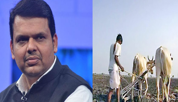 कवितेच्या माध्यमातून शेतक-यांच्या व्यथा !
