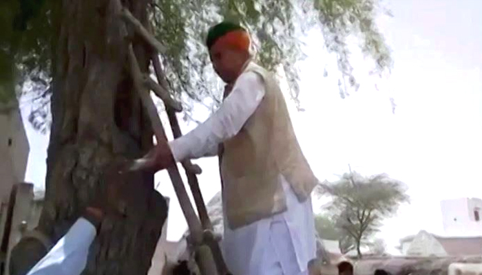 जेव्हा मोबाईल नेटवर्कसाठी केंद्रीय मंत्री चढतात झाडावर…..