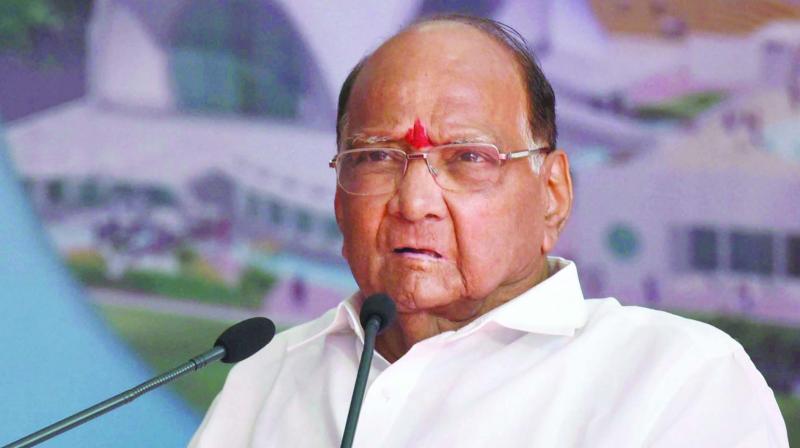 ब्रेकिंग न्यूज – निवडणूक लढवण्याबाबत शरद पवार यांचा मोठा निर्णय !