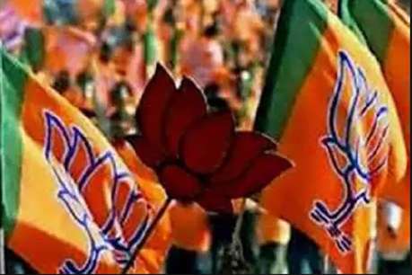 भाजपला मोठा धक्का, विद्यमान नाराज खासदार बदलणार पक्ष ?