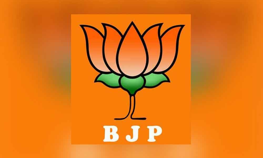 विधान परिषदेसाठी भाजपनं “या” नेत्याला दिली उमेदवारी !