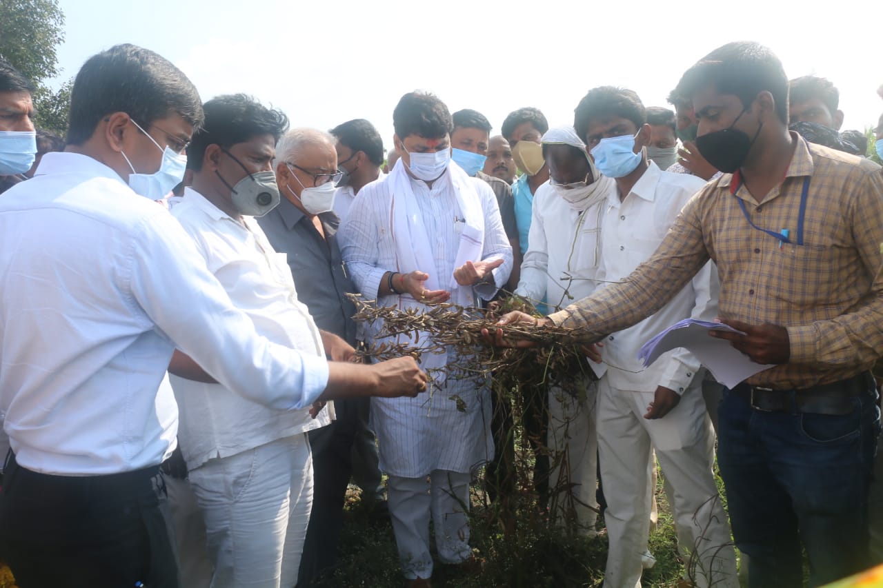 बीडचे पालकमंत्री धनंजय मुंडेंचा दुष्काळ दौरा, ‘त्या’ वृद्ध दाम्पत्याला म्हणाले, “तुम्ही आराम करा, मी वाऱ्या करतो !”